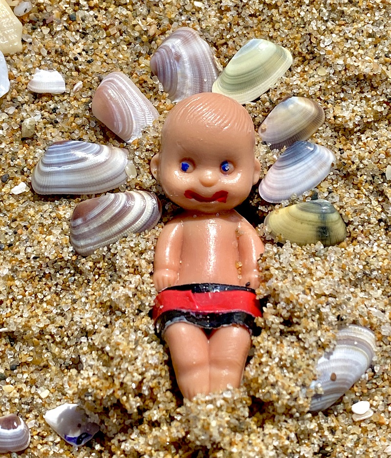 Brutus Baby and the Seashells 27